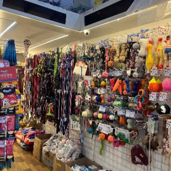 StoreImage